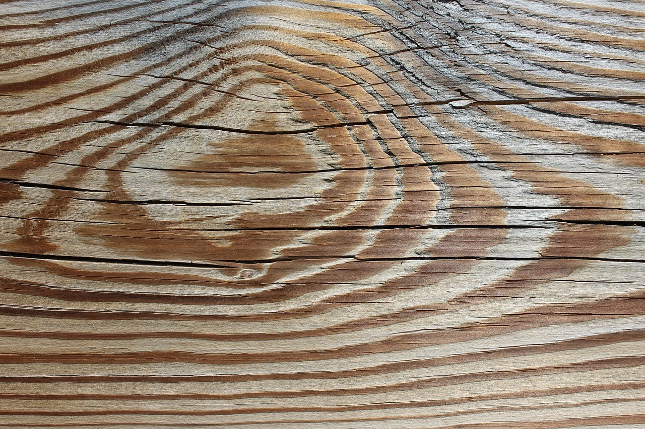 Wood grading system