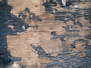 Refinishing old hardwood floors