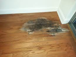 remove road salt stains from hardwood floors