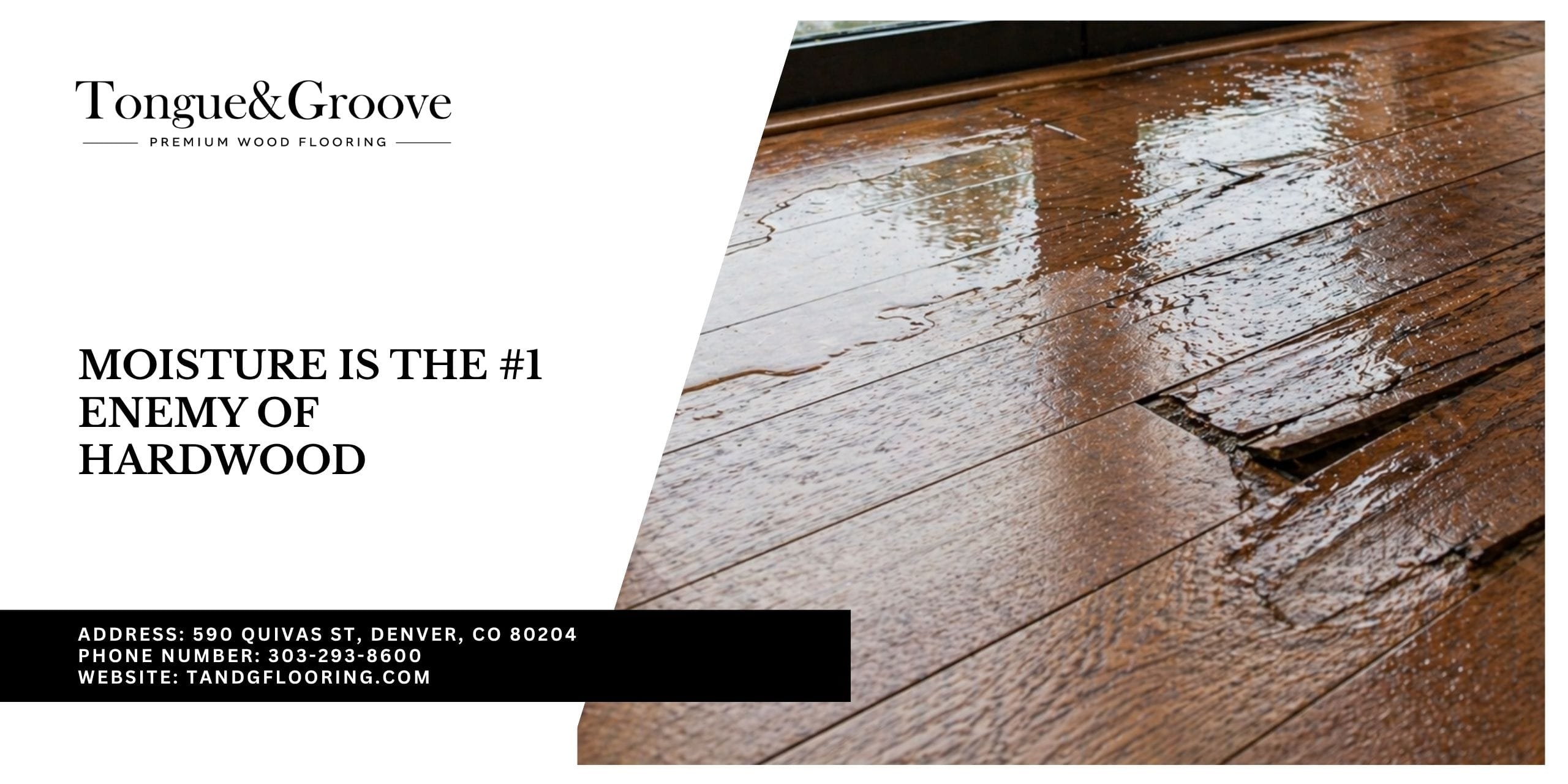 Moisture and Hardwood Floors: Why It's the #1 Threat