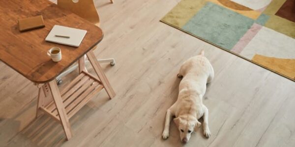 wood look vinyl flooring denver colorado